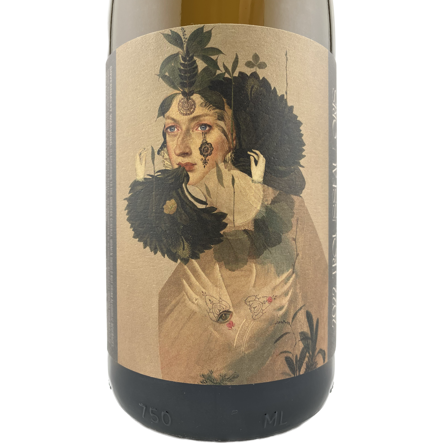2022 Trousseau Gris | Fanucchi Wood Road Sonoma County